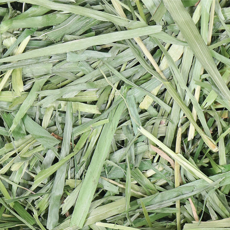 高原の朝採り牧草　3種のショートミックス　70g