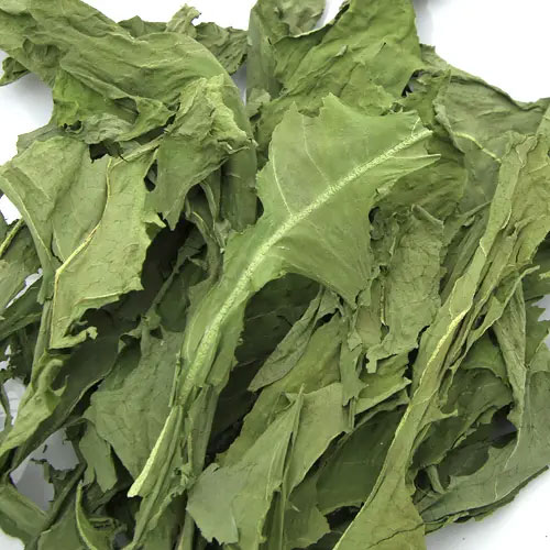 長野県産 高原たんぽぽ 20g Leaf Corporation