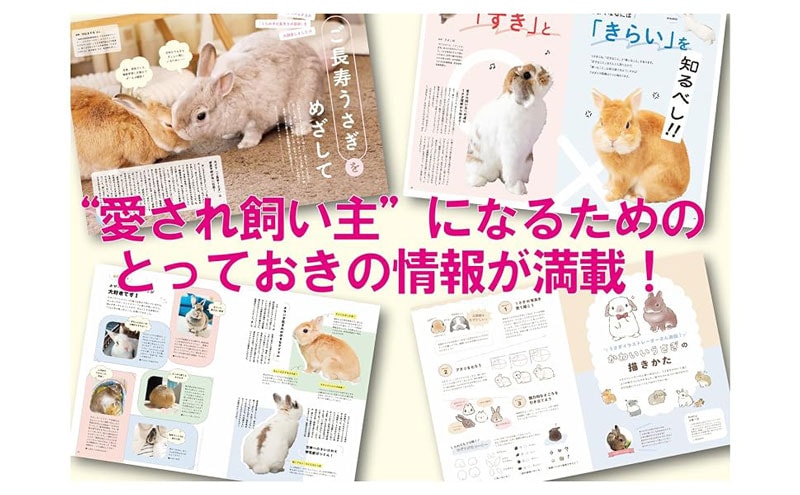 うさぎのきもち vol.8の通販はココロのおうち