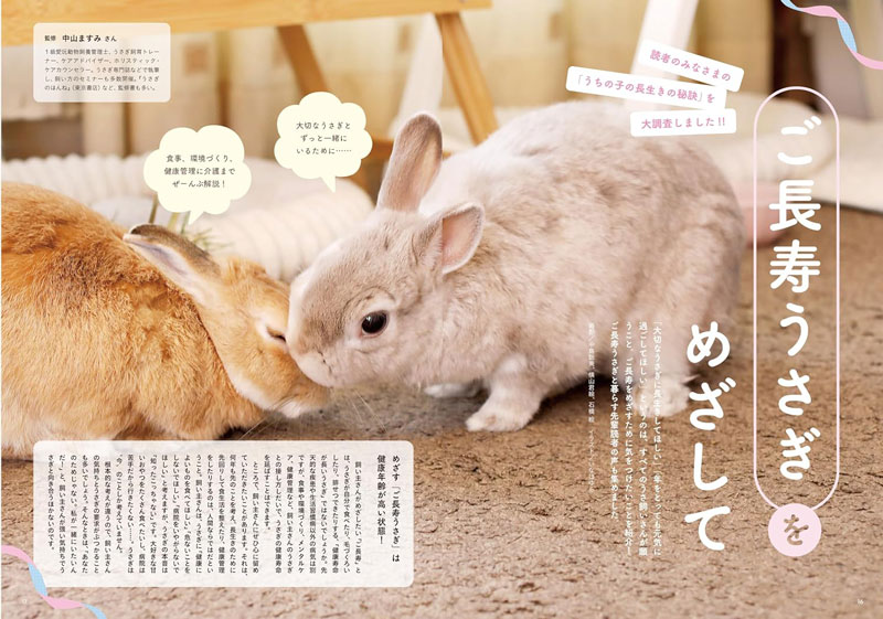 うさぎのきもち vol.8の通販はココロのおうち