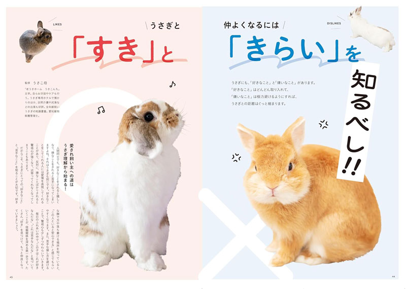 うさぎのきもち vol.8の通販はココロのおうち