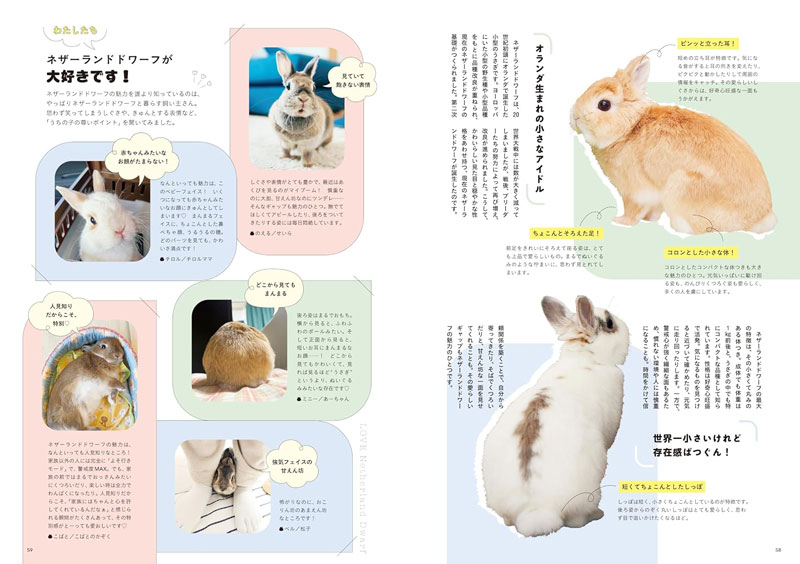 うさぎのきもち vol.8の通販はココロのおうち