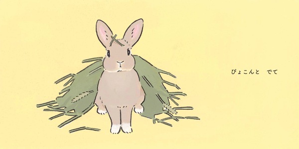 こうさぎ ぽーん