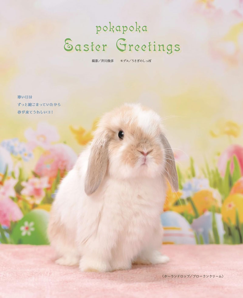 うさぎのしっぽ通販は、『うさぎと暮らす81号』を全国へお届け