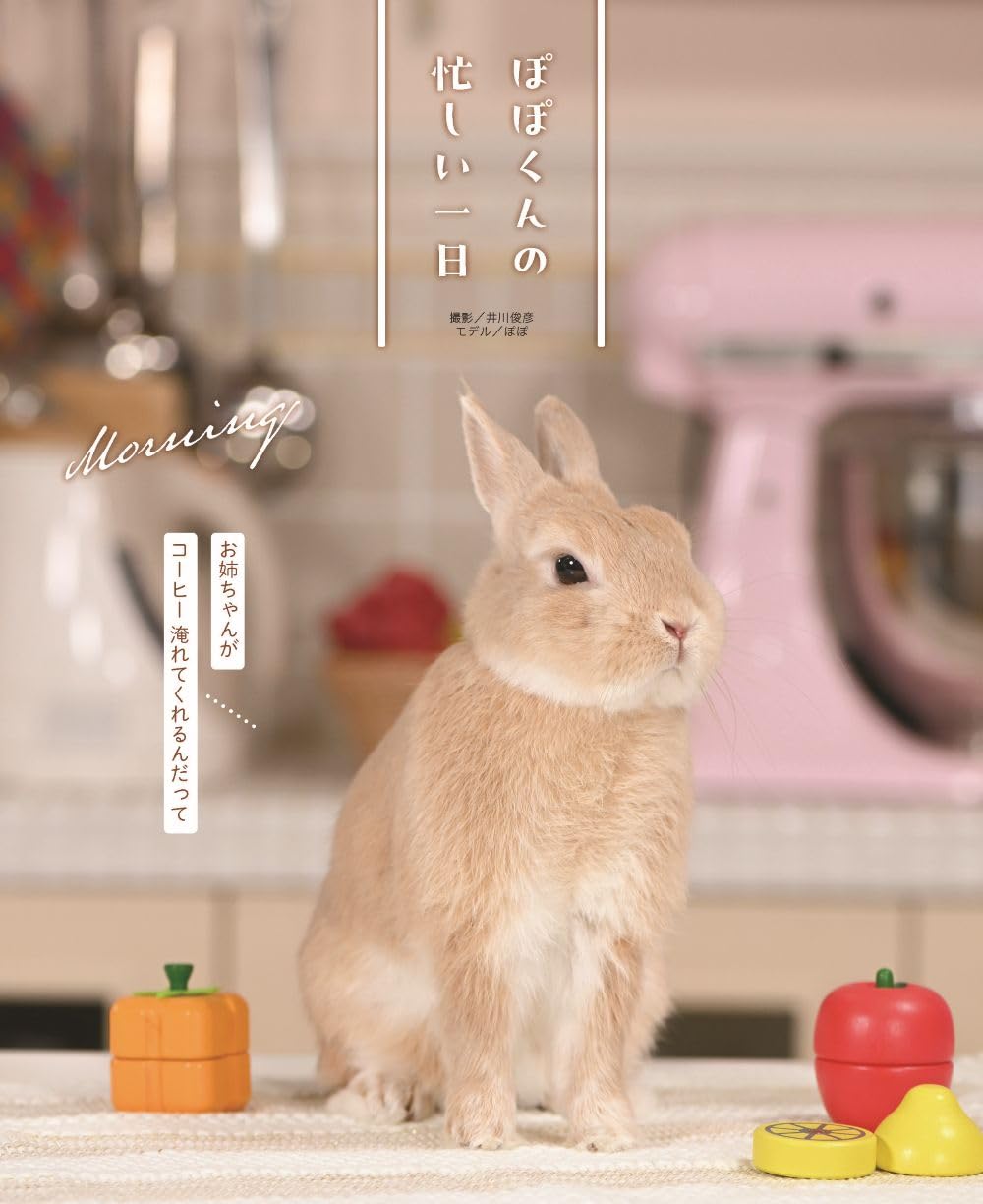 うさぎ即購入ok うさぎと暮らす No.101 2026年Autumnの通販はココロのおうち