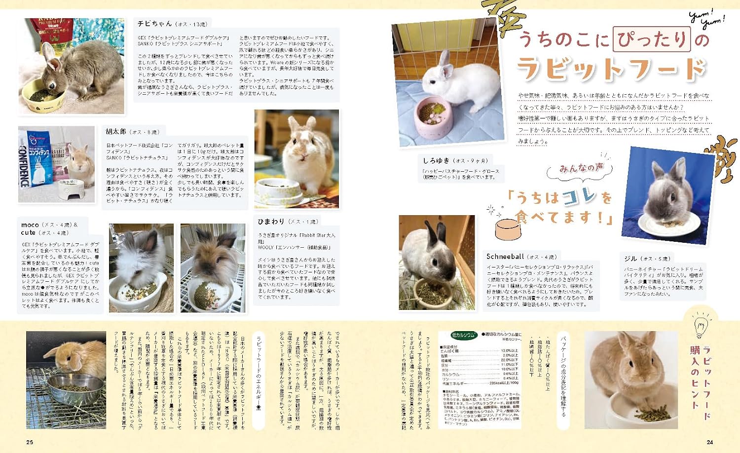 うさぎと暮らす No.101 2026年Autumnの通販はココロのおうち