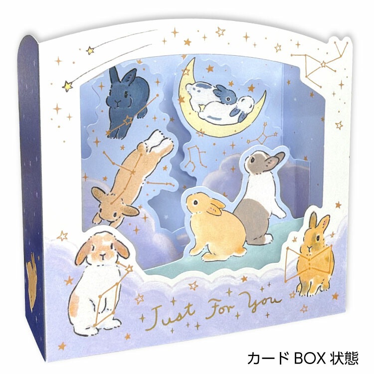 森山しなこ　グリーティングカード　多目的（星空）
