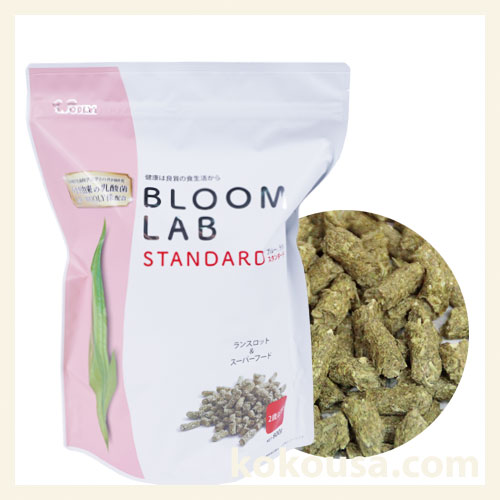 ウーリー ブルームラボ　スタンダード