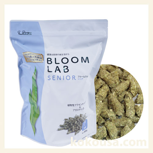 ウーリー ブルームラボ シニア