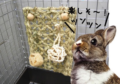 ハングトイ チモシーボードM