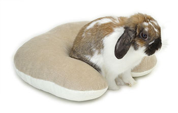 らくサポ あんしんU字ピローの通販はココロのおうち