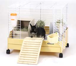 ウッドステップ