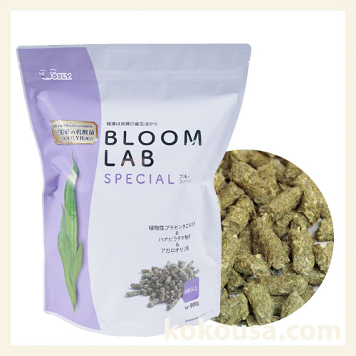 ウーリー ブルームラボ　スペシャル