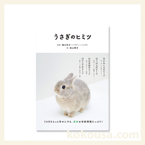 うさぎのヒミツ