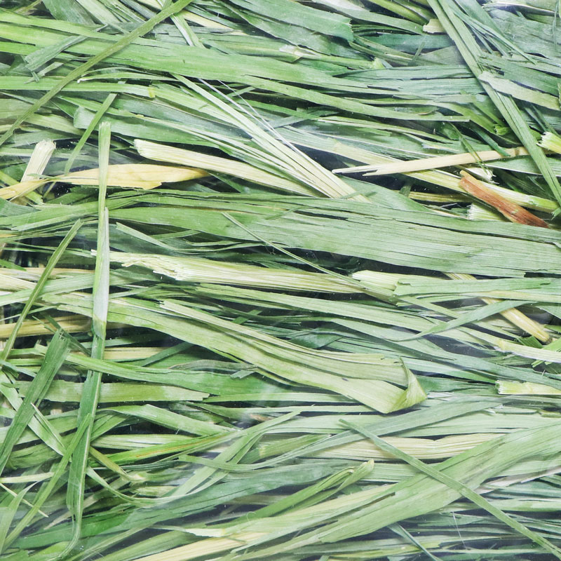 高原の朝採り牧草 オーツヘイ 400gの通販はココロのおうち