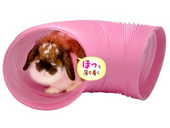 ジャバラトンネル 20 ピンク