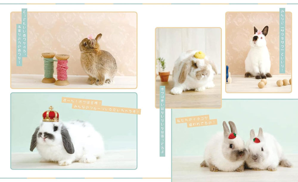 うさぎと暮らす No.99 2026年 Spring