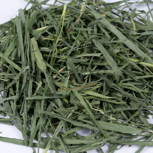 自然農法 匠の麦 40g