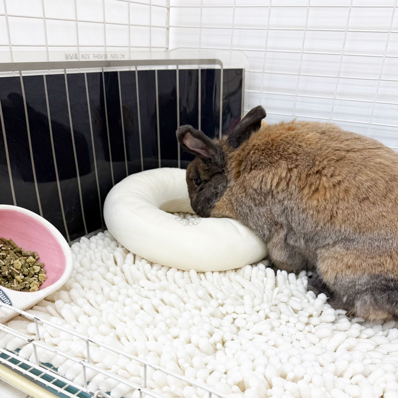 ドーナツクッション ココアブラウン