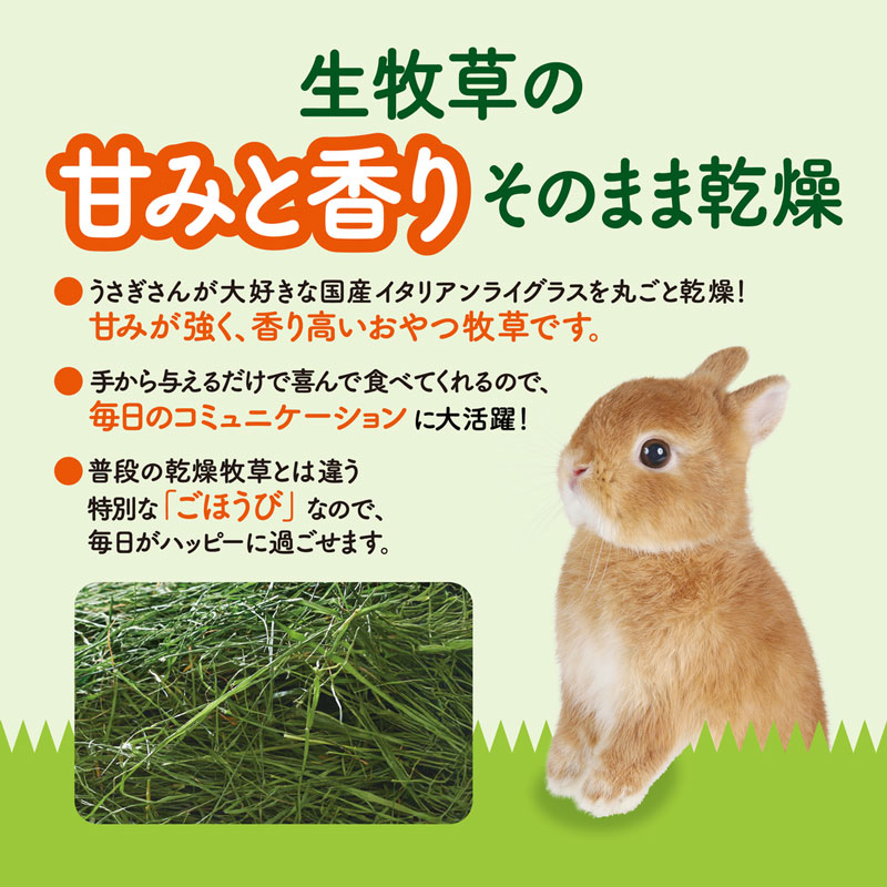 旬牧草 毎日ごほうびイタリアンライグラス20g