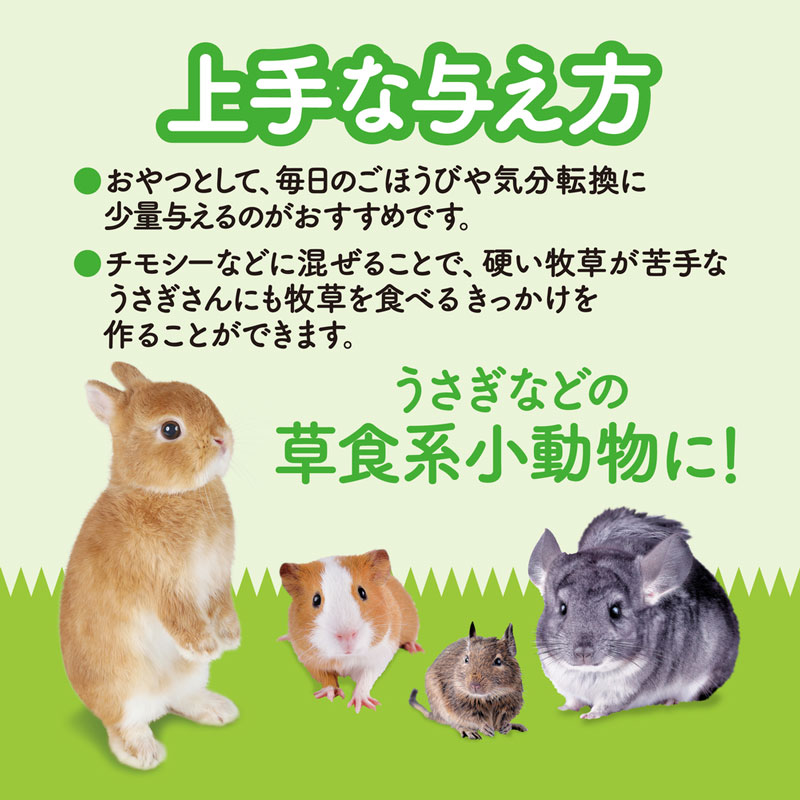 旬牧草 毎日ごほうびイタリアンライグラス20g