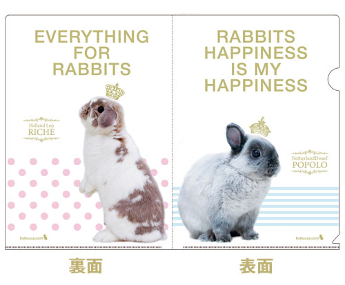 2017 Rabbits happiness A4クリアファイル