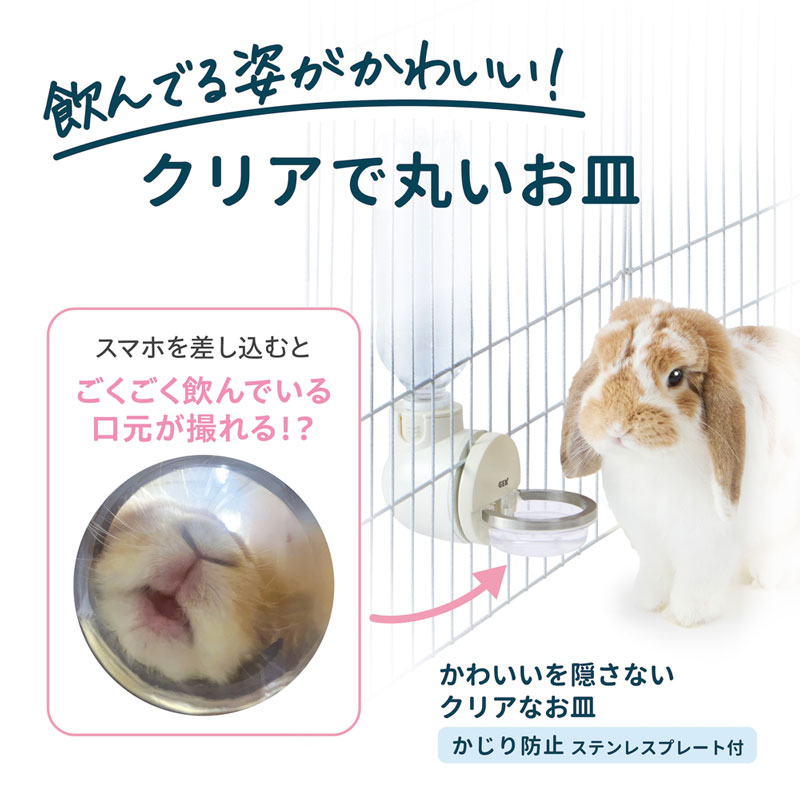 ラビング ドリンクディッシュ