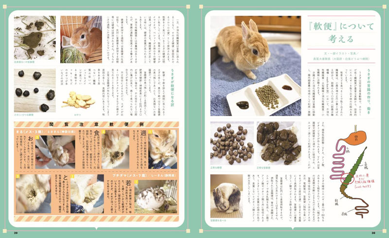 うさぎと暮らす No.96 2025年 Summer