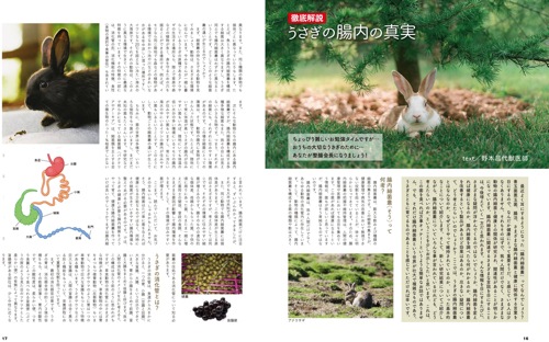 うさぎと暮らす No.82 2021年 Winter