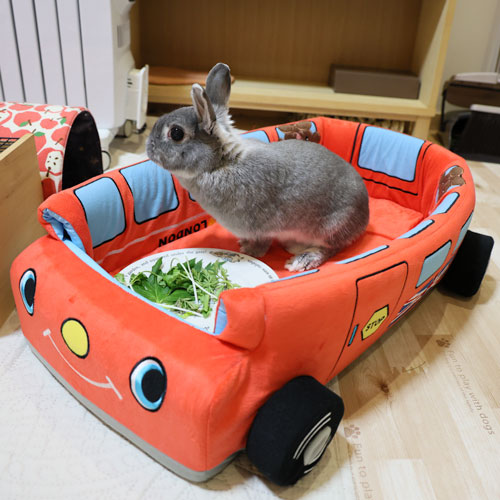 2WAYカドラー イングランドバス