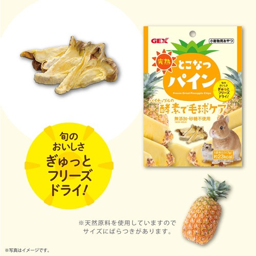 完熟 とこなつパイン7g