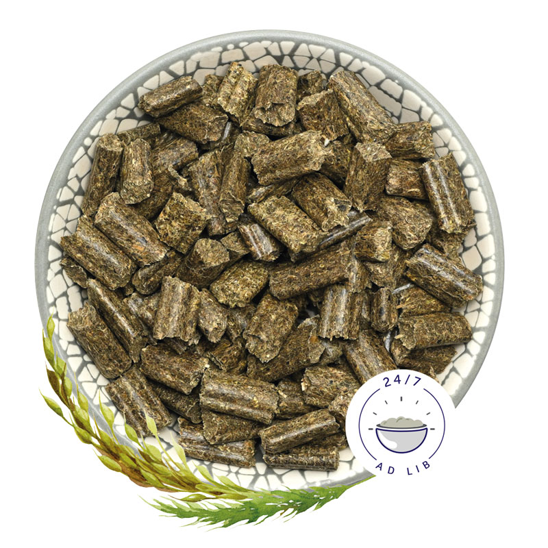 bunnyNATURE バニーネイチャー ラビットドリーム ベーシック 1.5kg