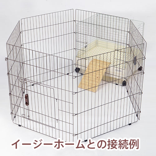 ラビットワンタッチサークル