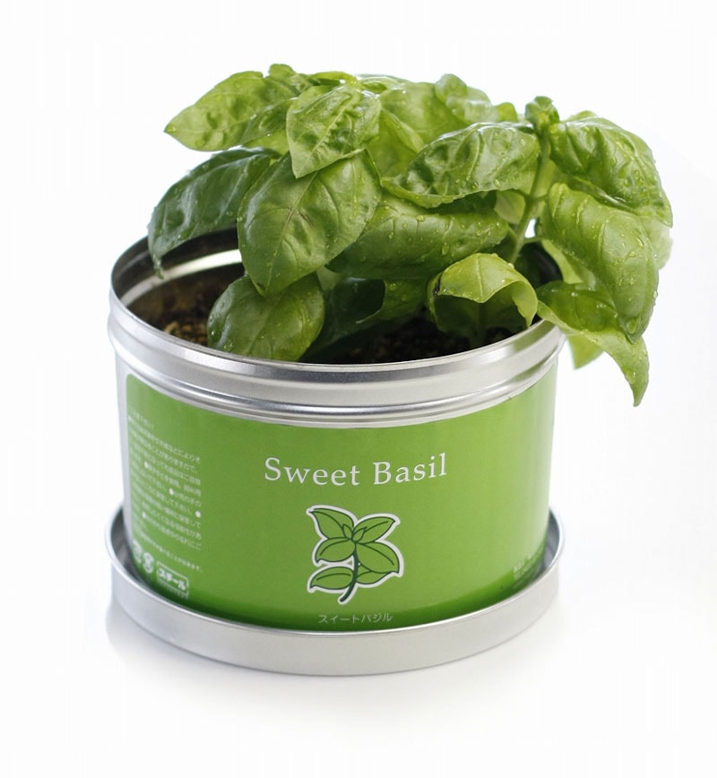リトルガーデンプロ　バジル栽培キット