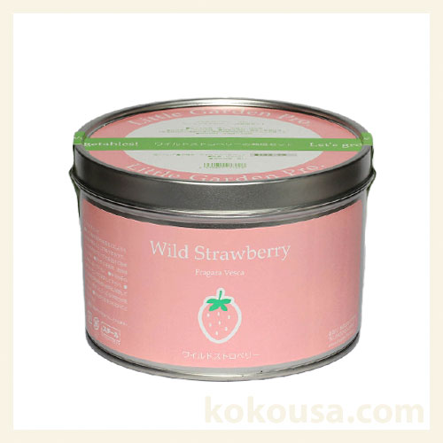 リトルガーデンプロ　ワイルドストロベリー栽培キット