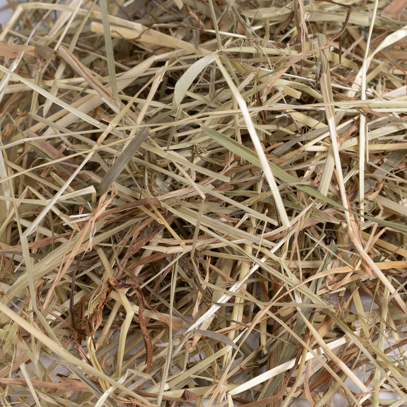 bunnyNATURE バニーネイチャー  ネイチャーコンザーベーションメドウヘイ 600g
