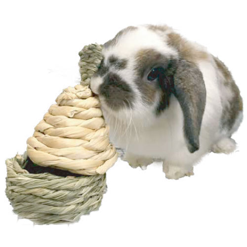 バナナ&チモシー カップケーキ