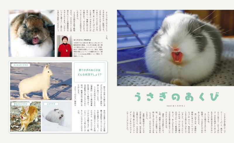 うさぎと暮らす No 22年 Springの通販はココロのおうち