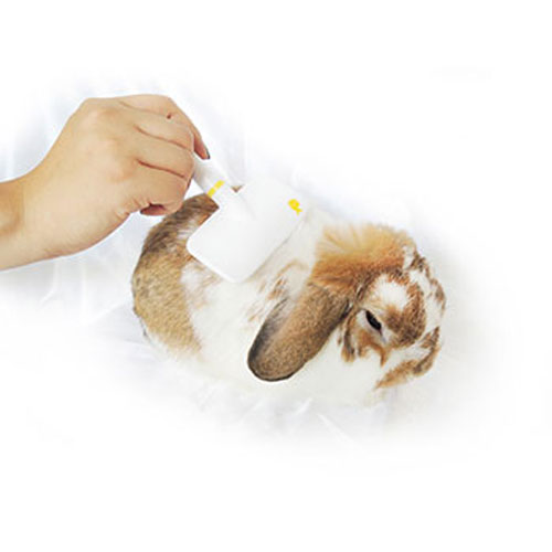 小動物用スリッカーブラシS