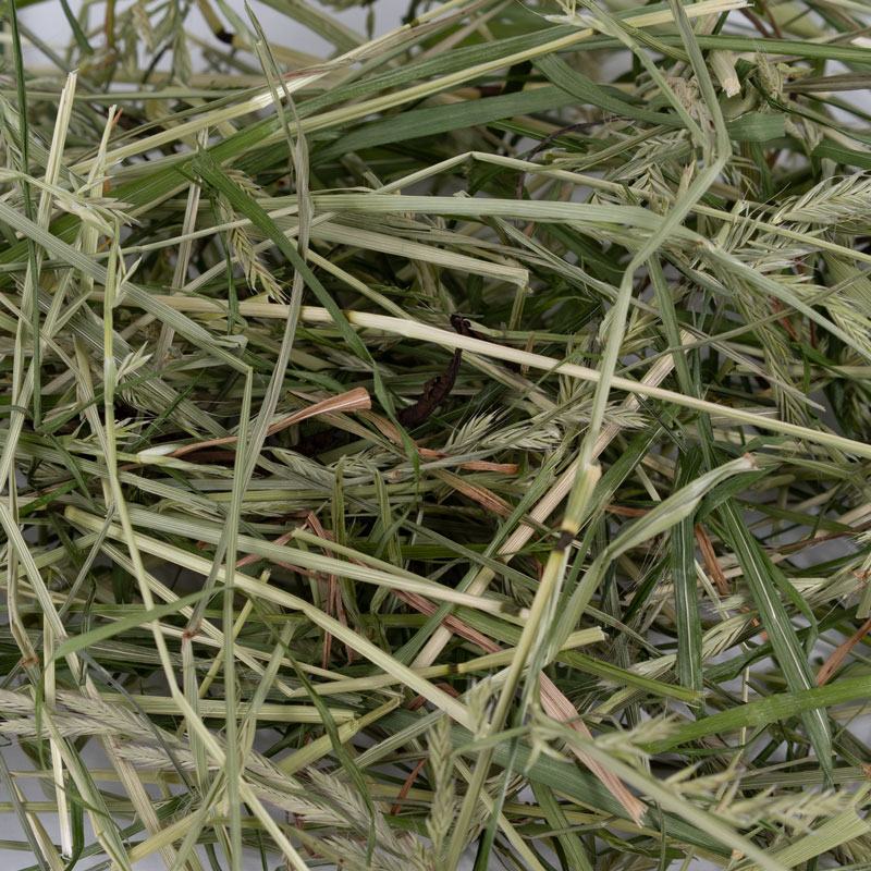 茎が多く固め】自然農法 匠のイタリアンライグラス 250gの通販は