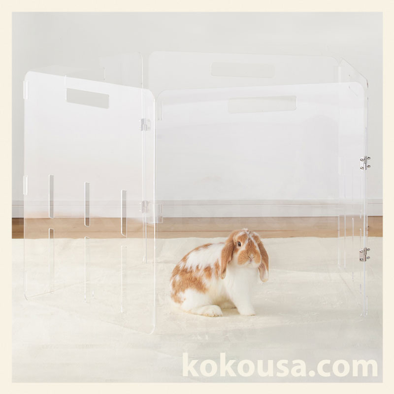 GEX　ラビング クリアサークル