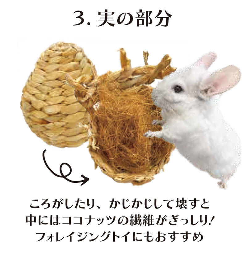 ぐるコロパイン