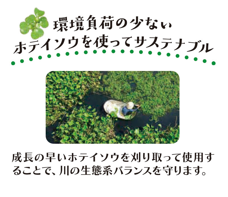 ぐるコロパイン