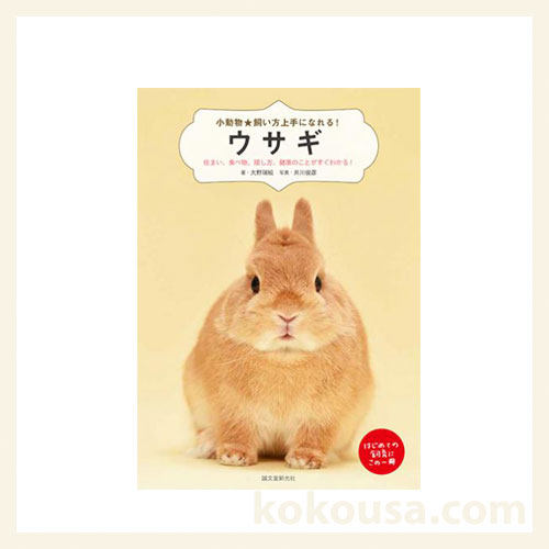 小動物 飼い方上手になれる！ウサギ