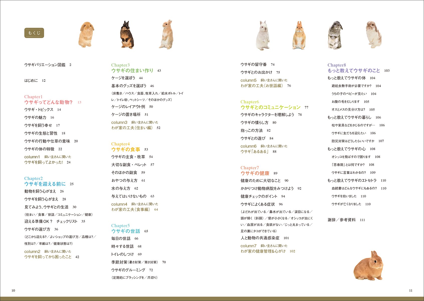 小動物 飼い方上手になれる！ウサギ