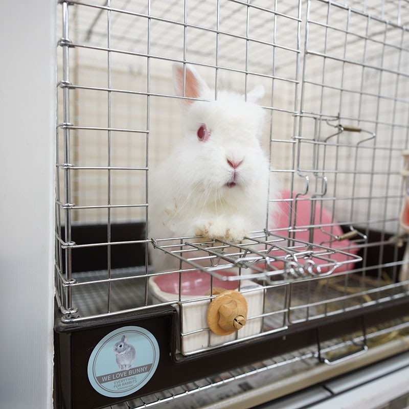 【希少】キイロイトリ マグネットマスコット ガチャ　 非売品　激レア　入手困難 リラックマ キイロイトリダイアリー マスコットライト [2