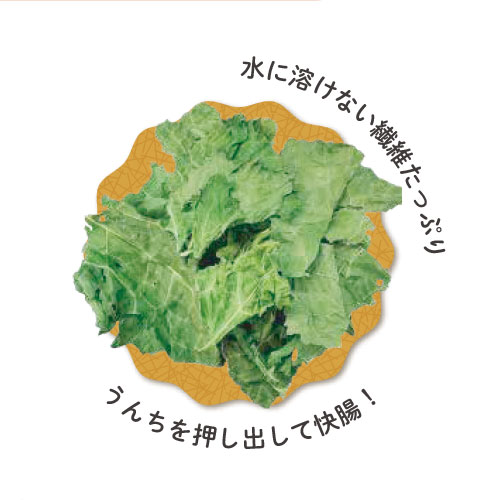 ZASSOUマルシェ Kaleの葉