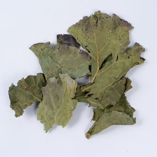 素材の美味しさ　ブロッコリーの葉　30g