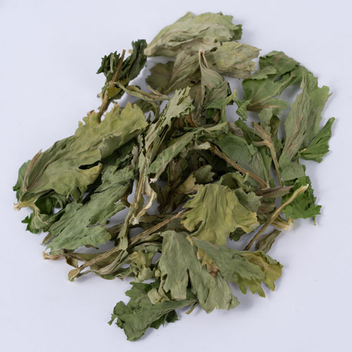 素材の美味しさ　セロリの葉　20g