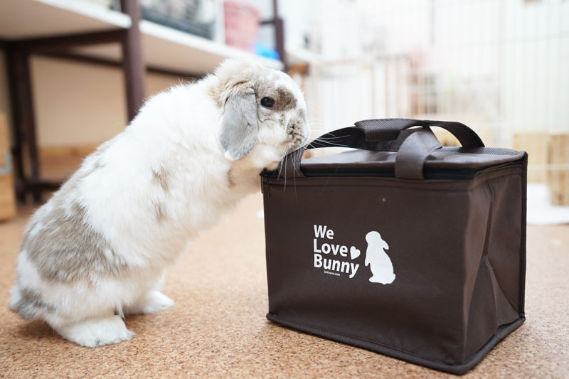 We Love Bunny保温・保冷バッグ